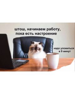 Test Option Link #3
